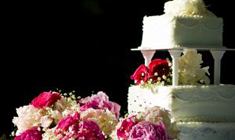 Vegetarian Wedding Cakes